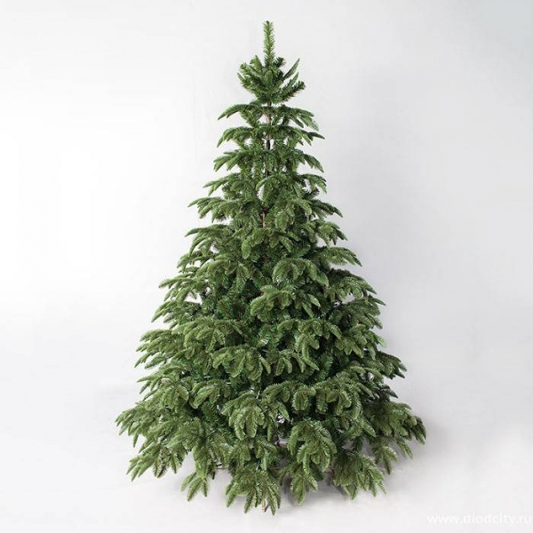 Ель Онтарио